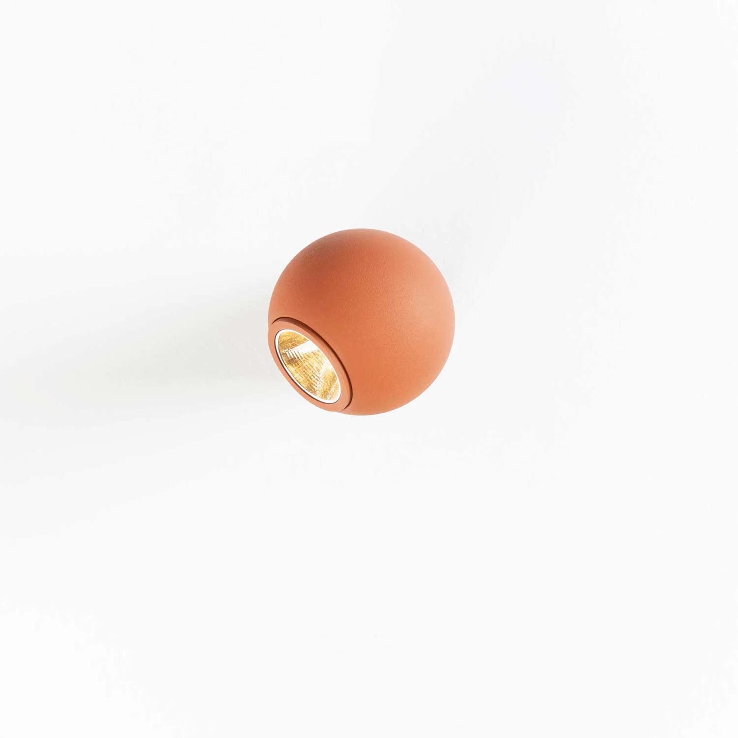 Image du produit 13